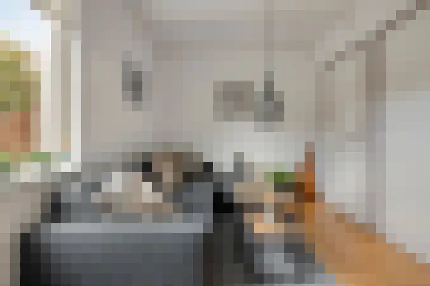 Tuinstraat 1 Biervliet thumbnail 7
