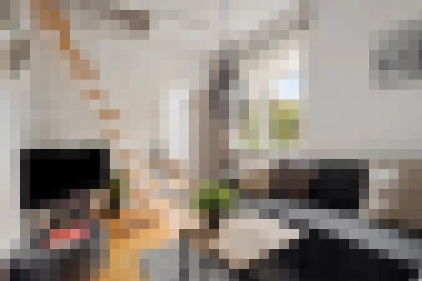 Tuinstraat 1 Biervliet thumbnail 8