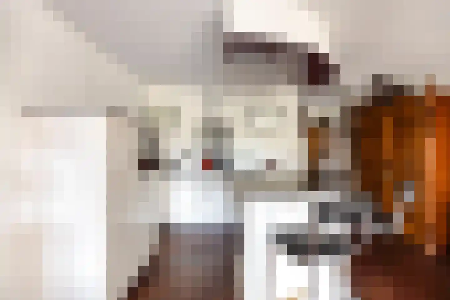Tuinstraat 1 C Veenendaal thumbnail 10