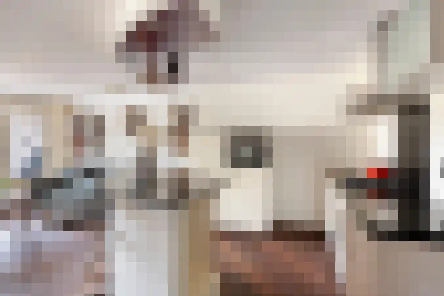 Tuinstraat 1 C Veenendaal thumbnail 4