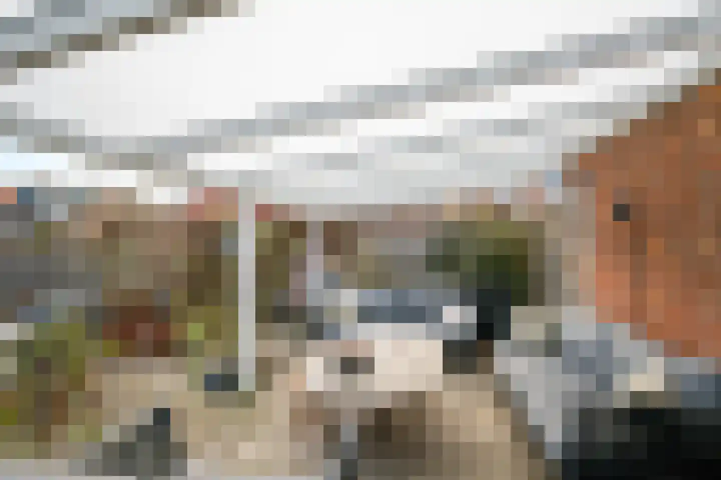 Tuinstraat 1 Sint-Annaland thumbnail 36