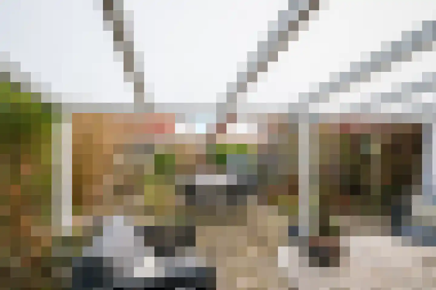 Tuinstraat 1 Sint-Annaland thumbnail 37