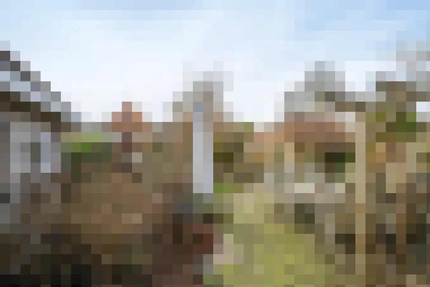 Tuinstraat 1 Sint-Annaland thumbnail 41