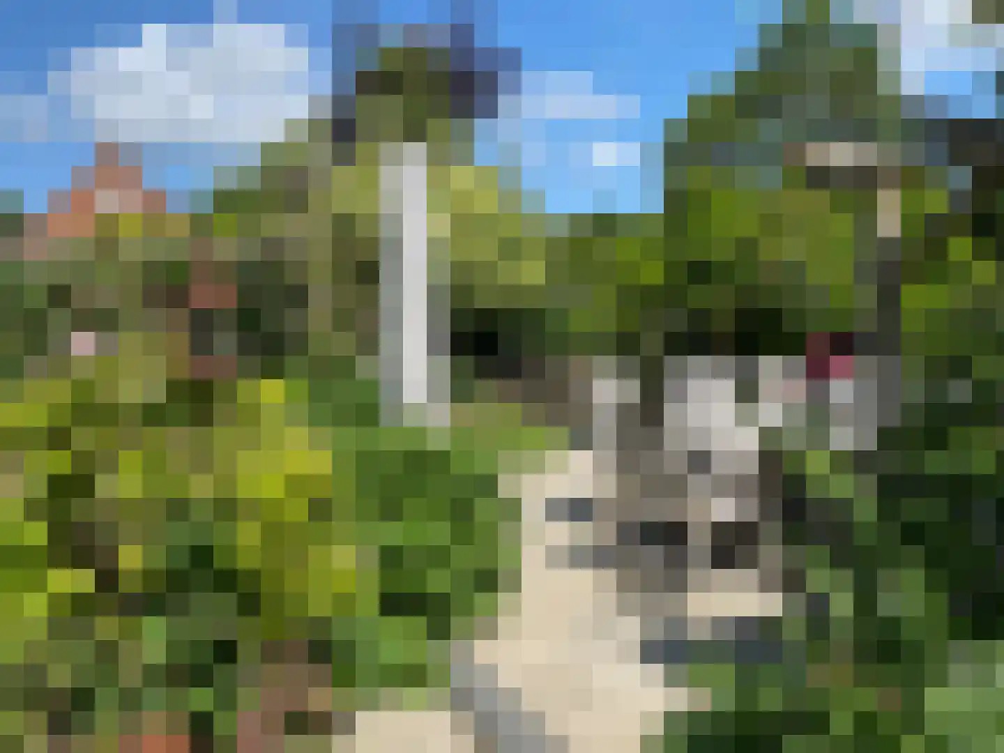 Tuinstraat 1 Sint-Annaland thumbnail 42