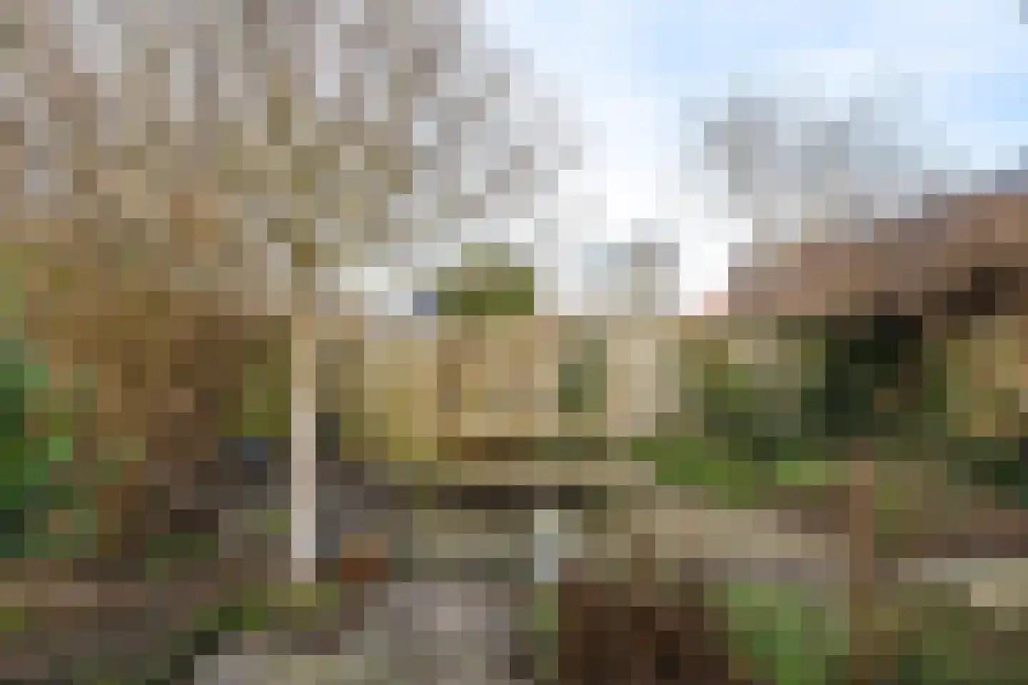 Tuinstraat 1 Sint-Annaland thumbnail 46