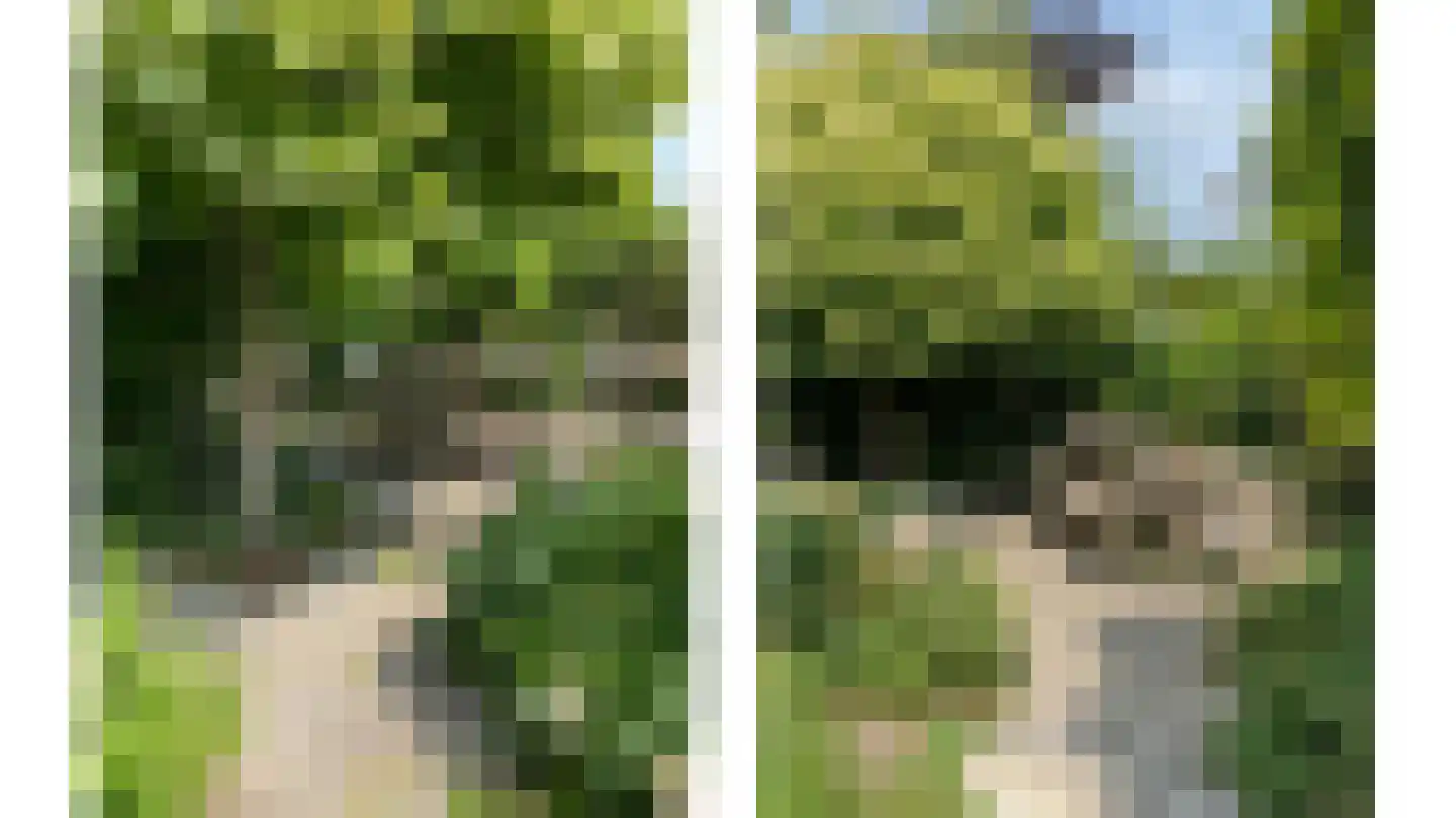 Tuinstraat 1 Sint-Annaland thumbnail 47