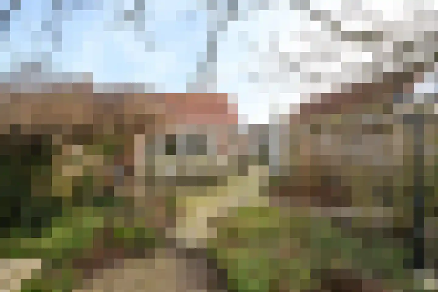 Tuinstraat 1 Sint-Annaland thumbnail 48