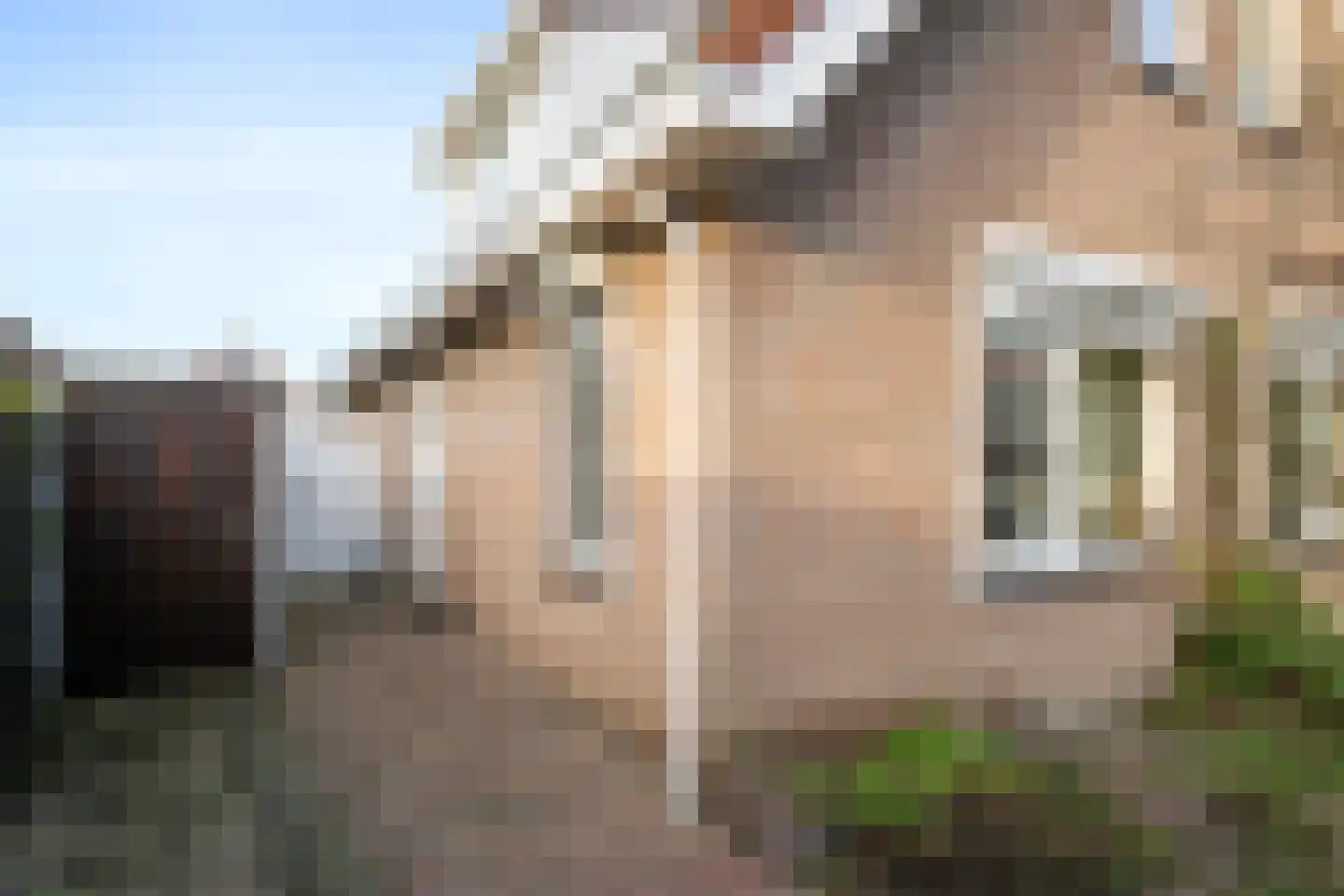 Tuinstraat 1 Sint-Annaland thumbnail 8