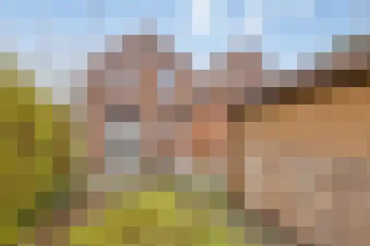 Tuinstraat 10 Terneuzen thumbnail 23