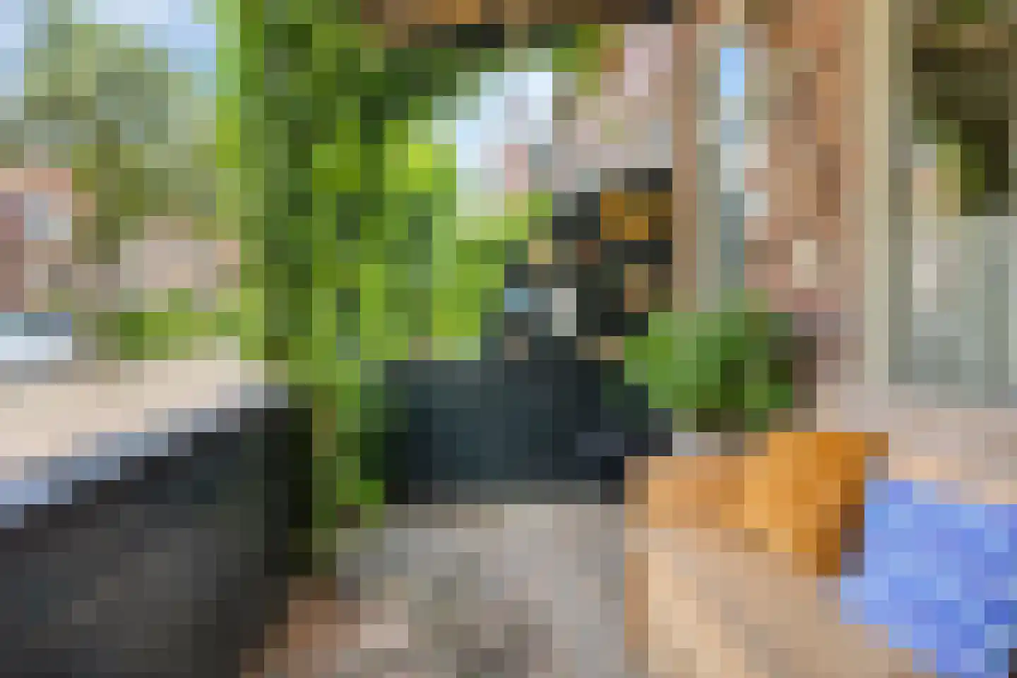 Tuinstraat 104 Krimpen aan den IJssel thumbnail 35