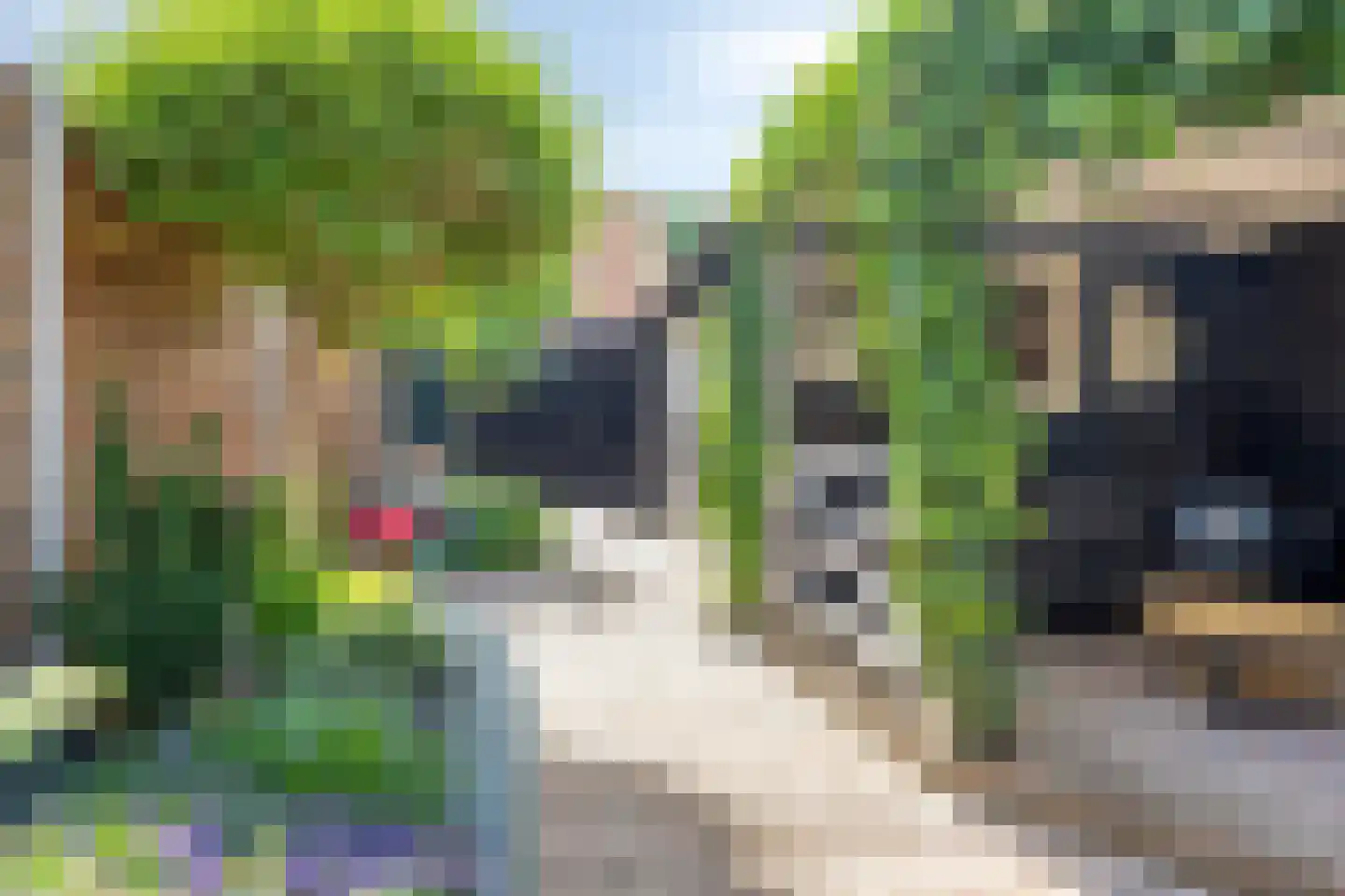 Tuinstraat 104 Krimpen aan den IJssel thumbnail 42