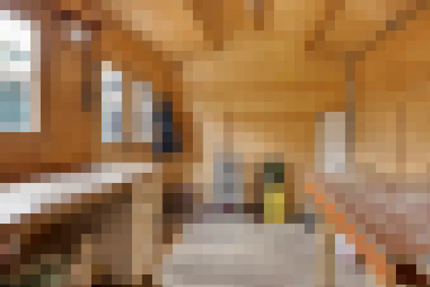Tuinstraat 104 Krimpen aan den IJssel thumbnail 45