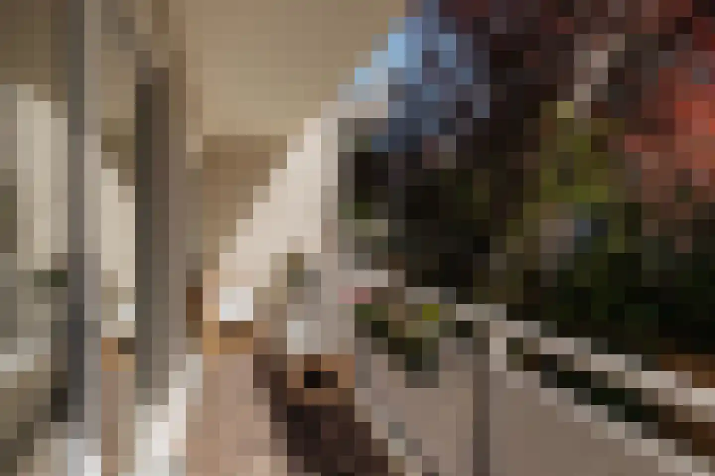 Tuinstraat 105 Amsterdam thumbnail 12