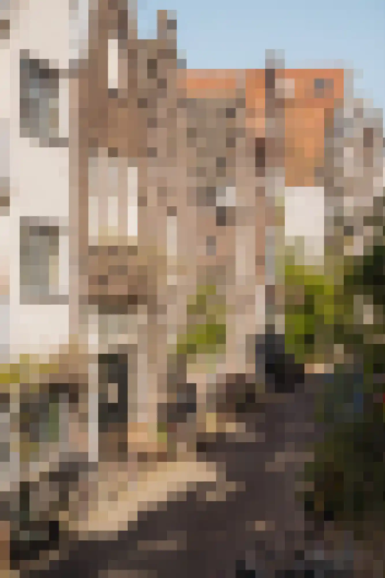 Tuinstraat 105 Amsterdam thumbnail 18