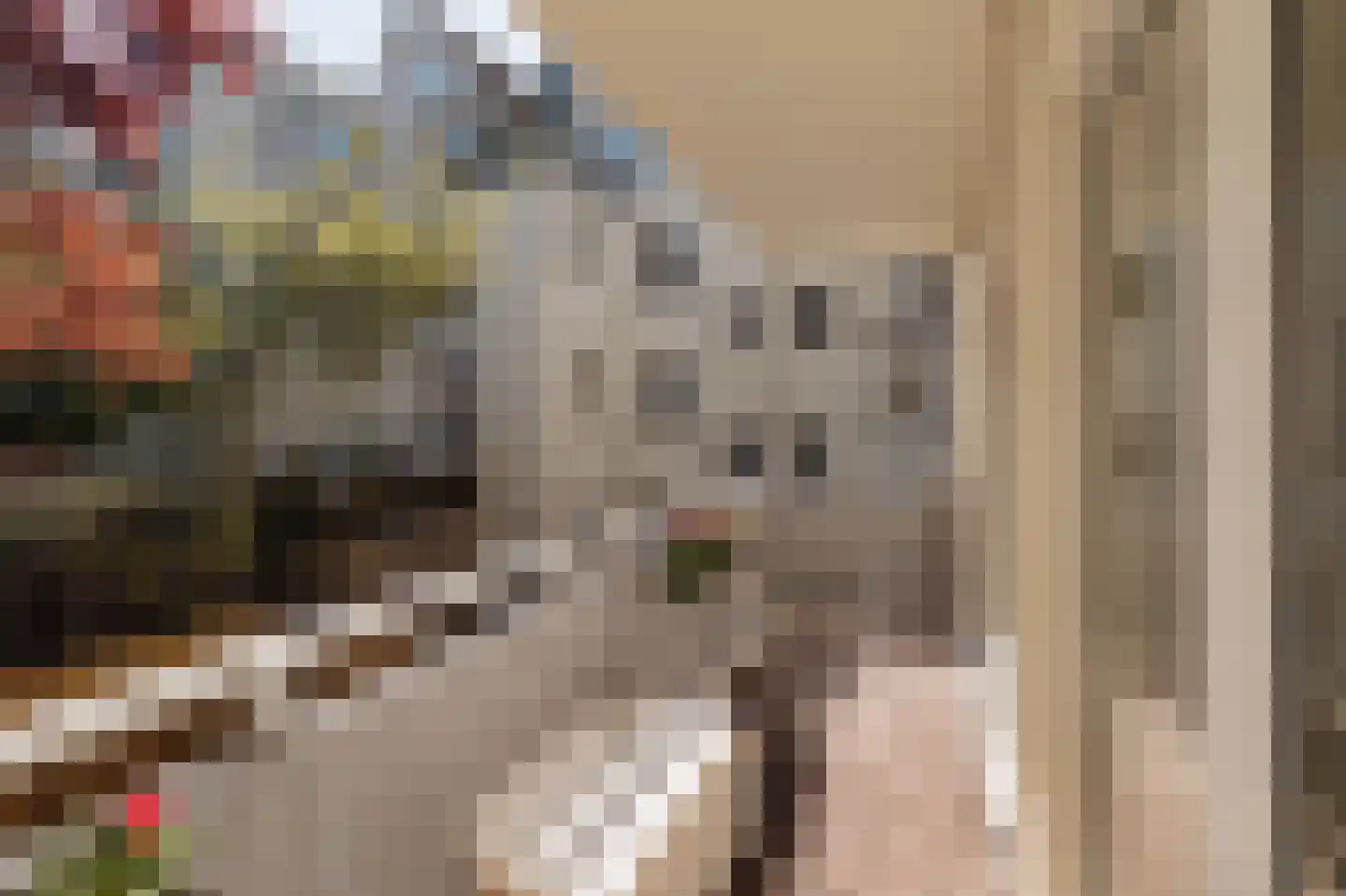 Tuinstraat 105 Amsterdam thumbnail 5