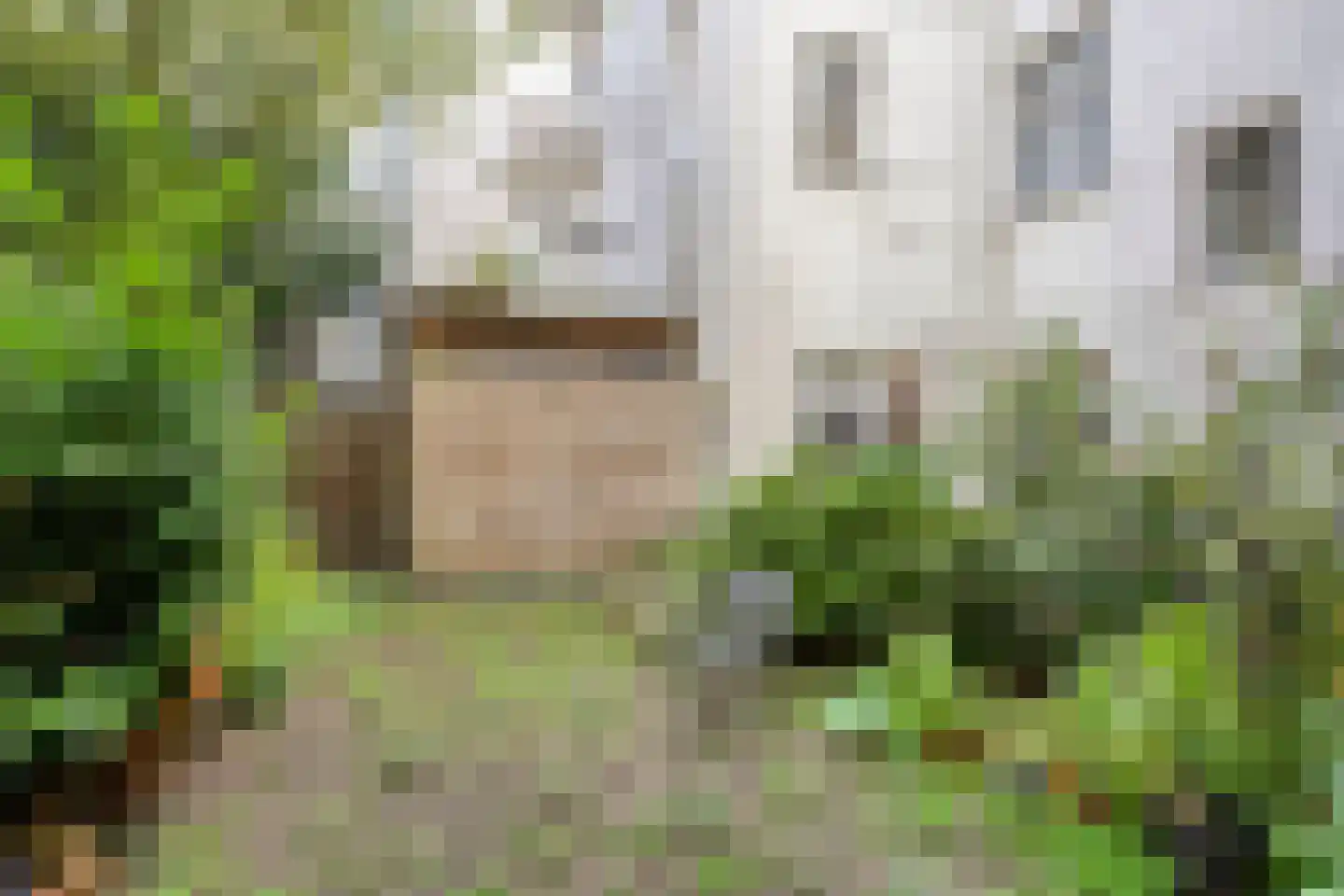 Tuinstraat 109 Amsterdam thumbnail 27