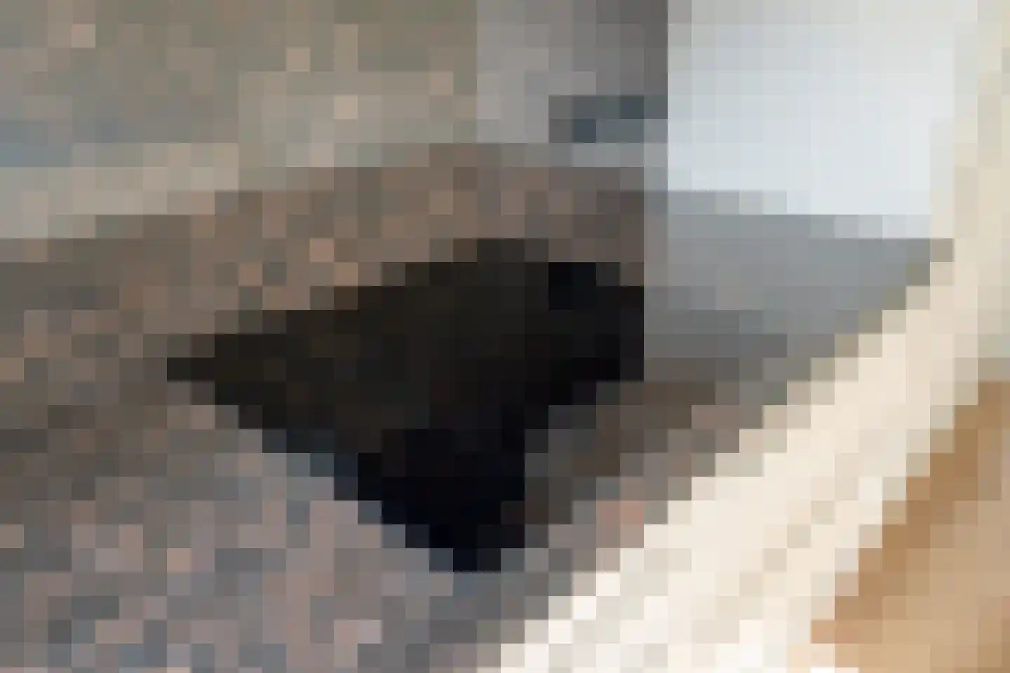 Tuinstraat 11 Almelo thumbnail 12
