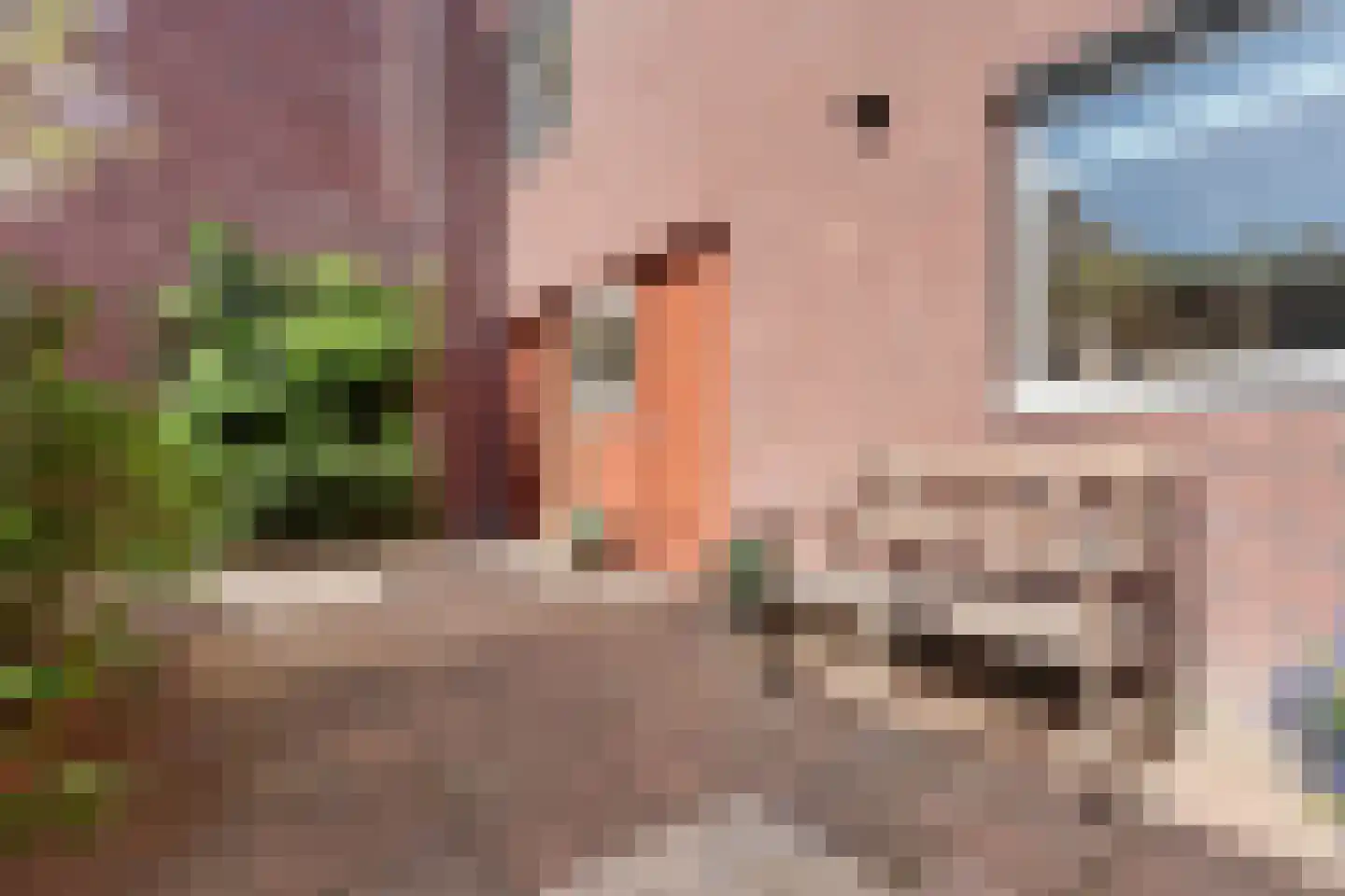 Tuinstraat 11 Almelo thumbnail 27