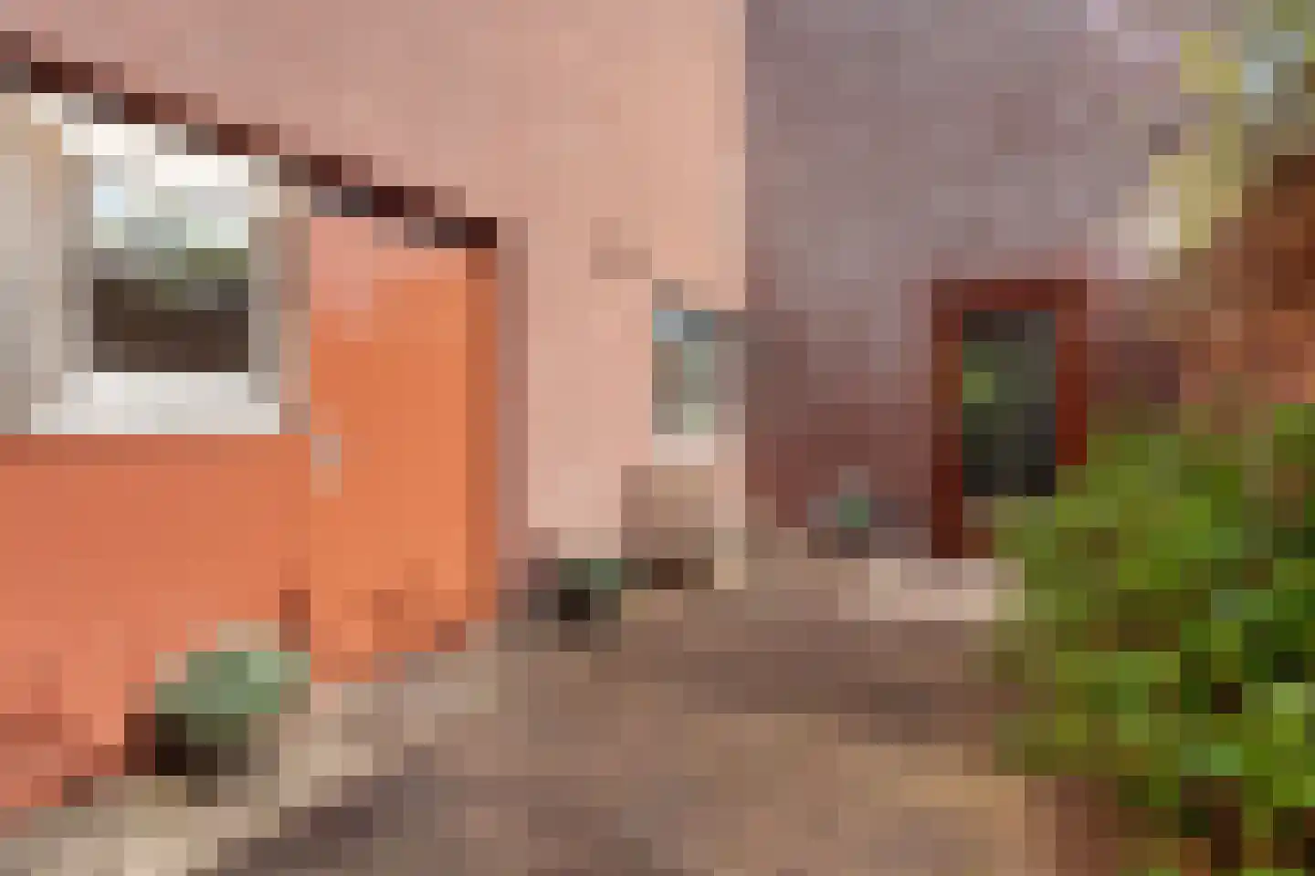 Tuinstraat 11 Almelo thumbnail 28