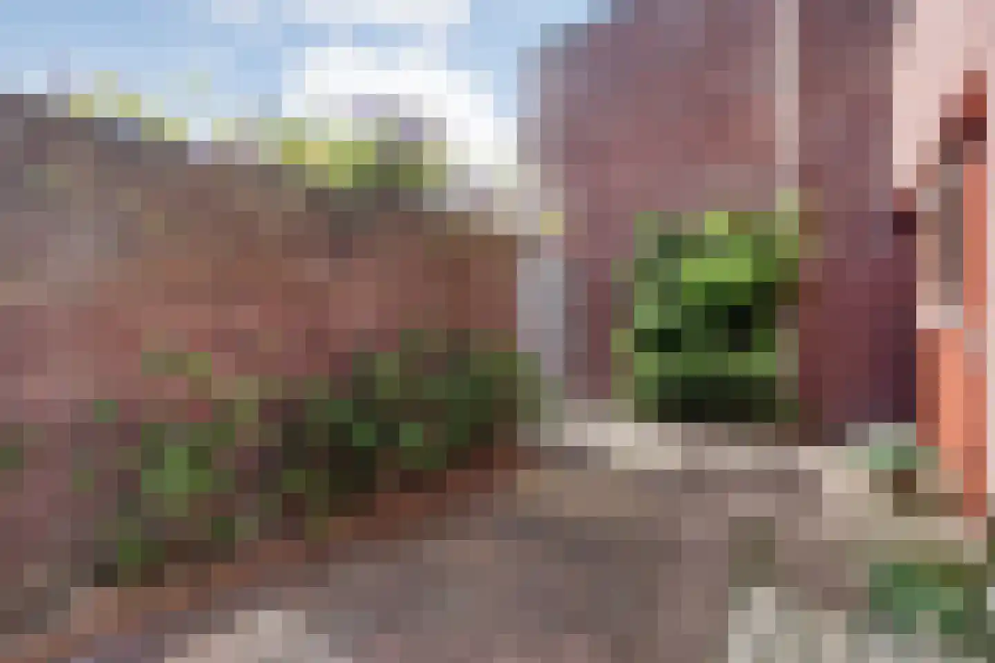 Tuinstraat 11 Almelo thumbnail 29