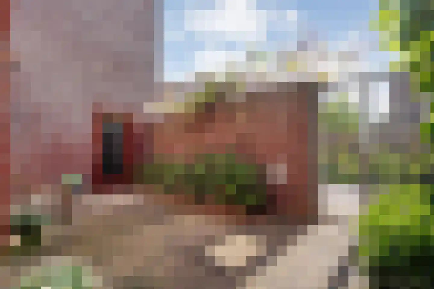 Tuinstraat 11 Almelo thumbnail 30