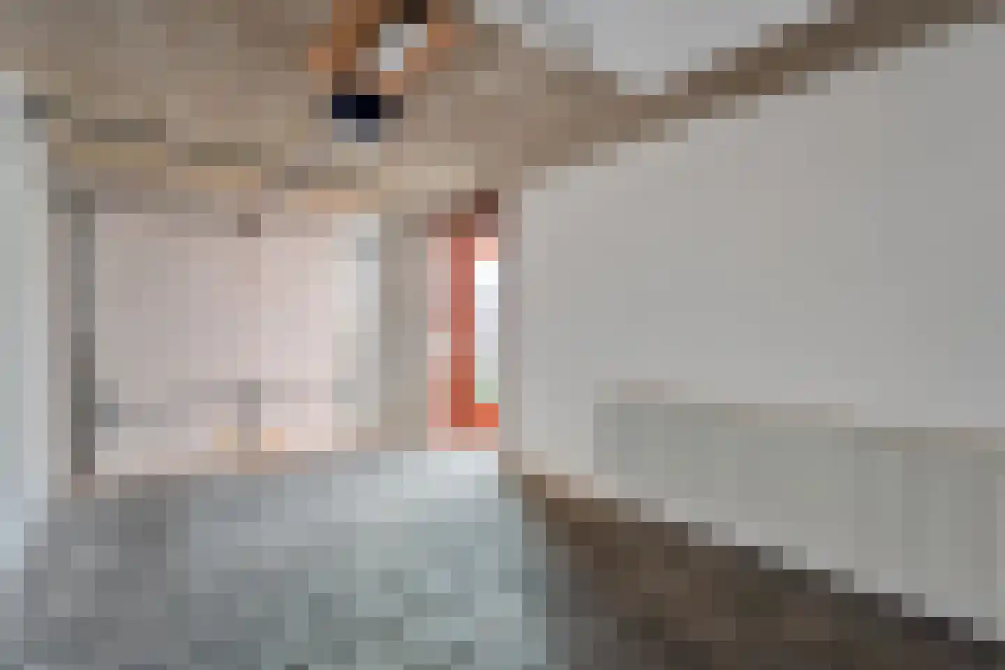 Tuinstraat 11 Almelo thumbnail 31