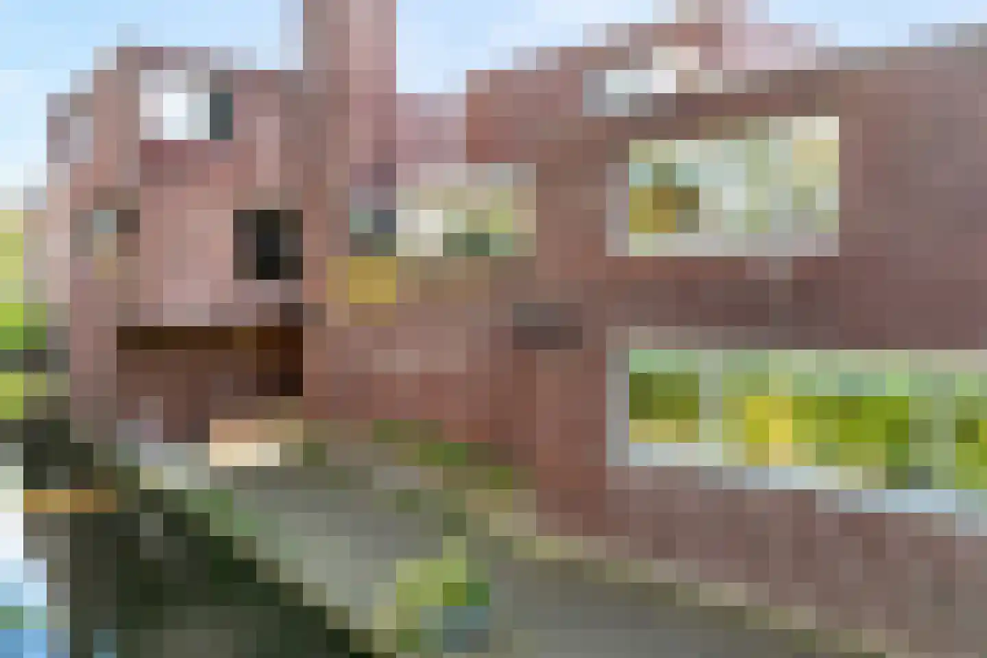 Tuinstraat 11 Almelo thumbnail 35