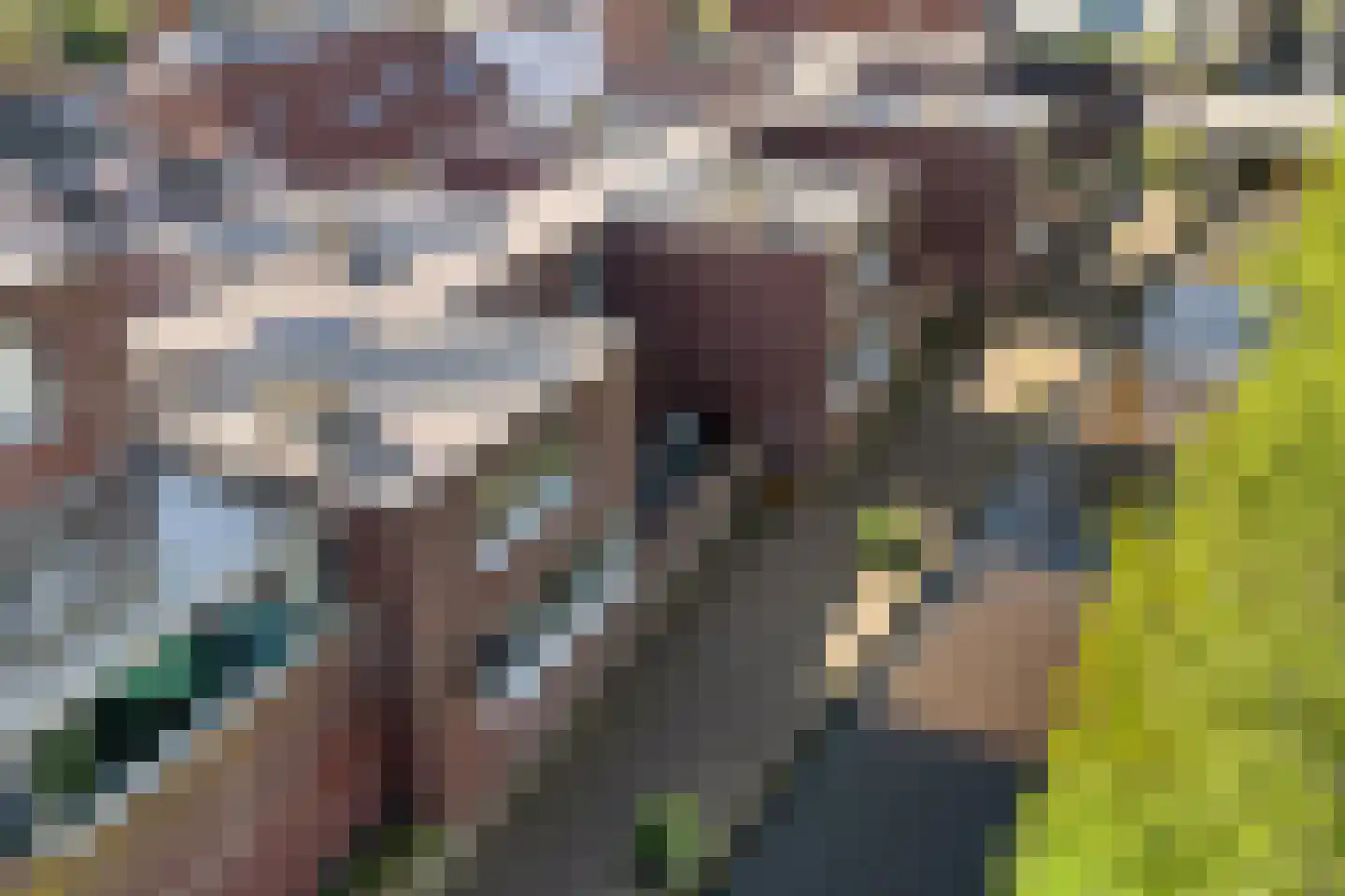 Tuinstraat 11 Almelo thumbnail 36