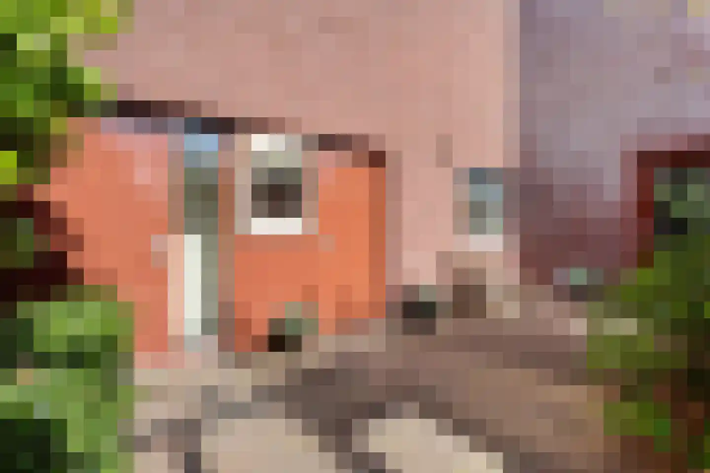Tuinstraat 11 Almelo thumbnail 4
