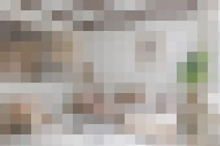 Tuinstraat 11 Alphen aan den Rijn thumbnail 12