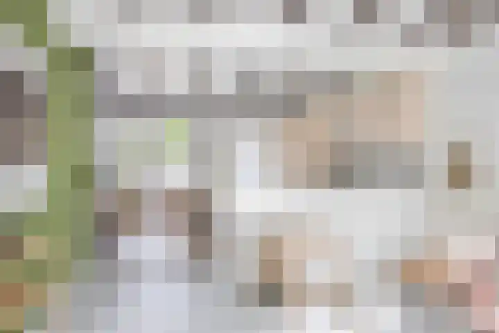 Tuinstraat 11 Alphen aan den Rijn thumbnail 13