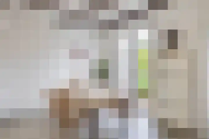 Tuinstraat 11 Alphen aan den Rijn thumbnail 15