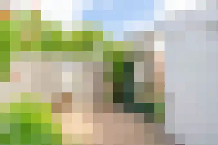 Tuinstraat 11 Alphen aan den Rijn thumbnail 20