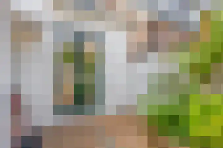 Tuinstraat 11 Alphen aan den Rijn thumbnail 22