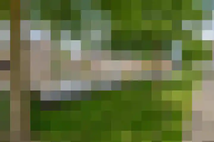Tuinstraat 11 Alphen aan den Rijn thumbnail 34