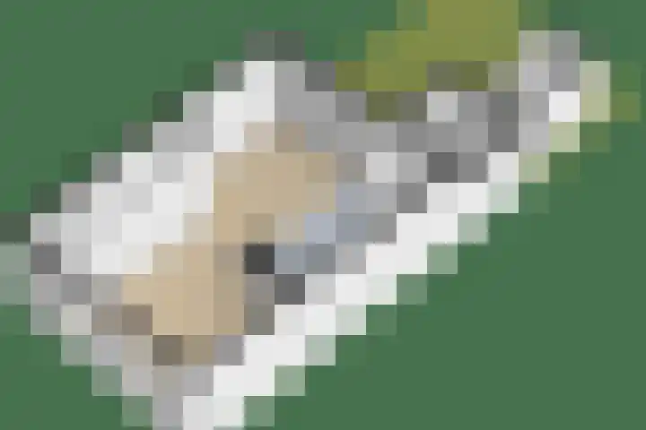 Tuinstraat 11 Alphen aan den Rijn thumbnail 39