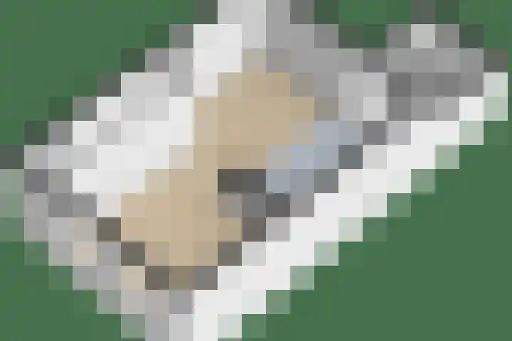Tuinstraat 11 Alphen aan den Rijn thumbnail 41