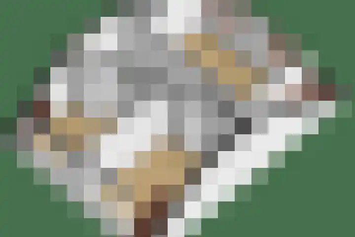 Tuinstraat 11 Alphen aan den Rijn thumbnail 43