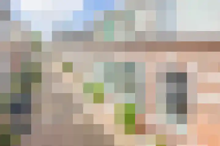 Tuinstraat 11 Alphen aan den Rijn thumbnail 6
