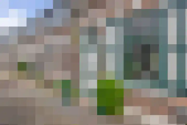 Tuinstraat 11 Alphen aan den Rijn thumbnail 8
