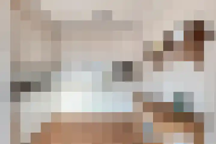 Tuinstraat 11 Asten thumbnail 13