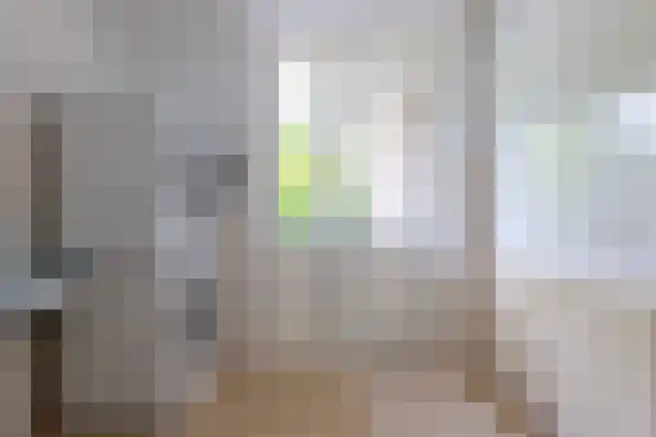 Tuinstraat 11 Asten thumbnail 25