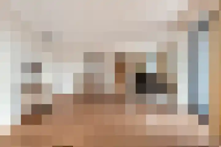 Tuinstraat 11 Asten thumbnail 4