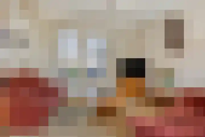 Tuinstraat 11 Nederhemert thumbnail 12
