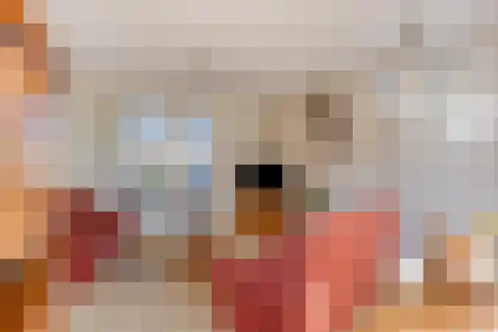 Tuinstraat 11 Nederhemert thumbnail 13