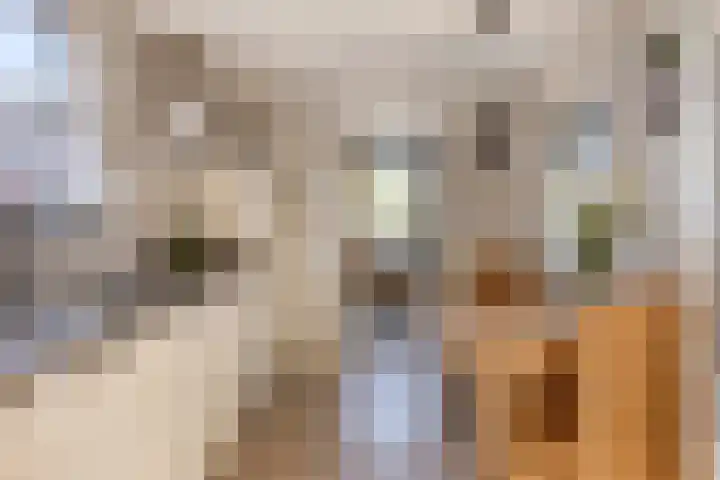 Tuinstraat 11 Nederhemert thumbnail 15