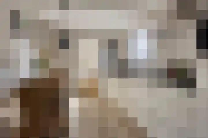 Tuinstraat 11 Nederhemert thumbnail 16