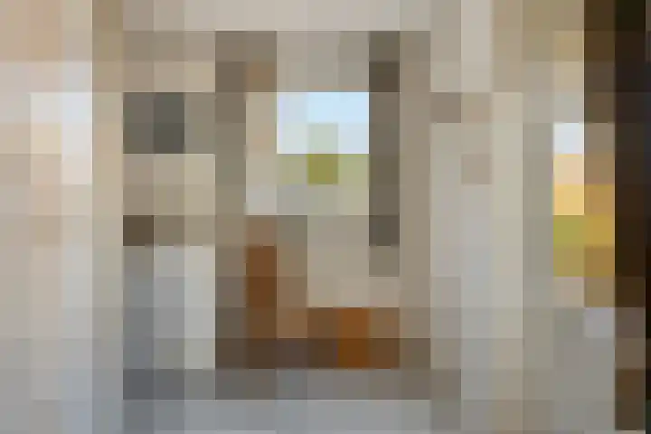 Tuinstraat 11 Nederhemert thumbnail 17