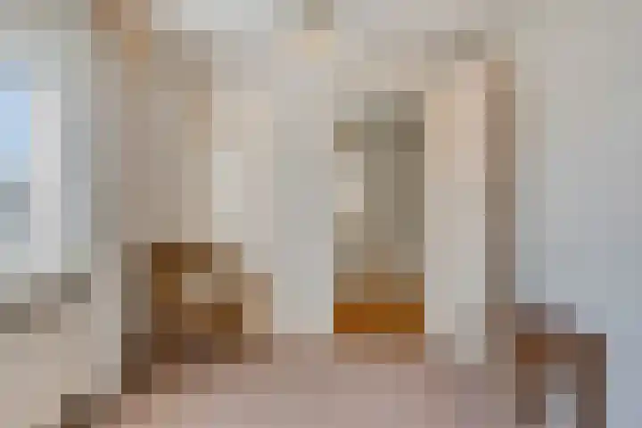 Tuinstraat 11 Nederhemert thumbnail 25
