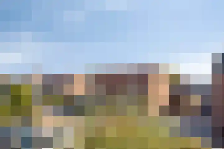 Tuinstraat 11 Nederhemert thumbnail 27